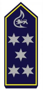 Schulterstück Brandoberamtsrat BF